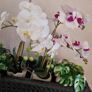 Orchidea Apartment